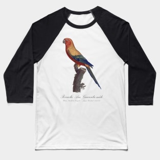 Sun Parakeet or Sun Conure / Perruche Ara, Guarouba male - Jacques Barraband 19th century Illustration Baseball T-Shirt